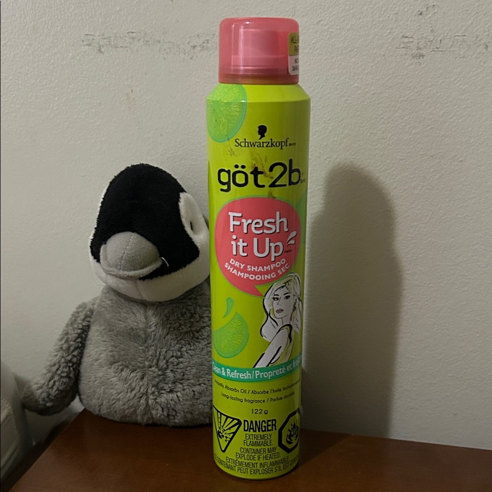 Never Used got2b Fresh It Up Dry Shampoo -